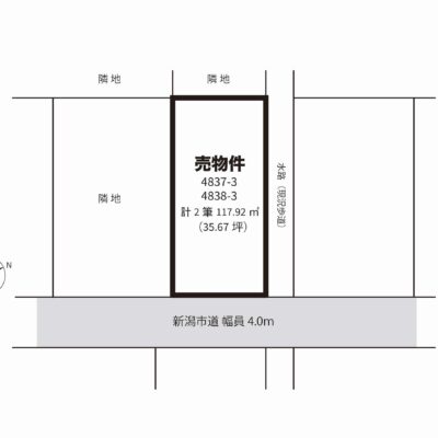 概略図