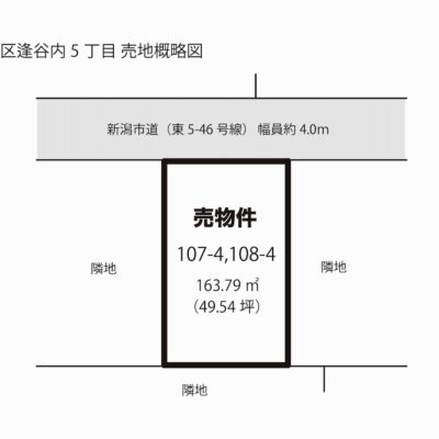 概略図