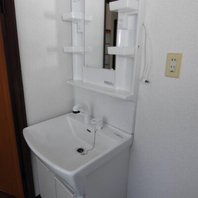 シャンプードレッサー