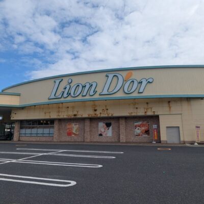 リオン・ドール寺尾朝日通店 約500m